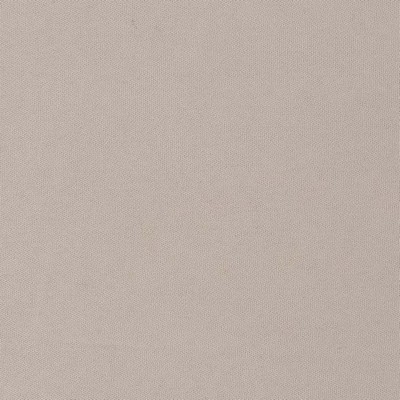 Charlotte Fabrics D2824 Stone