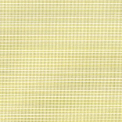 Charlotte Fabrics D2838 Citrus