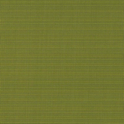 Charlotte Fabrics D2844 Grass