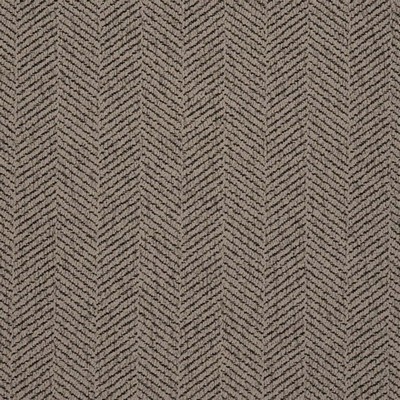 Charlotte Fabrics D2897 Charcoal
