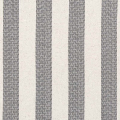 Charlotte Fabrics D2957 Flint
