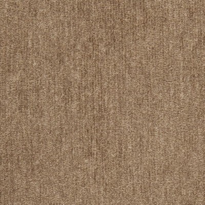 Charlotte Fabrics D2972 Acorn