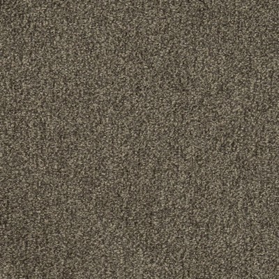 Charlotte Fabrics D2975 Ash