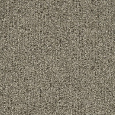 Charlotte Fabrics D2976 Nickle