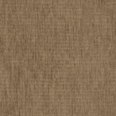 Charlotte Fabrics D2984 Latte
