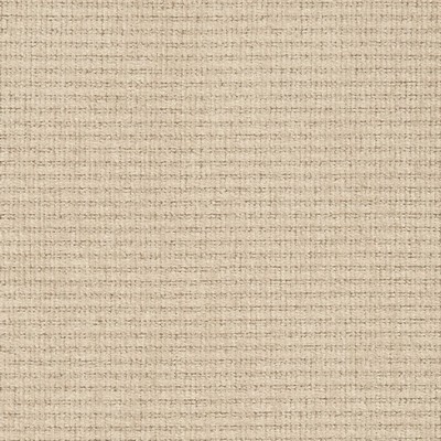 Charlotte Fabrics D2987 Putty