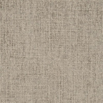 Charlotte Fabrics D2999 Sterling