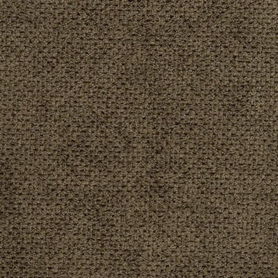 Charlotte Fabrics D3016 Umber