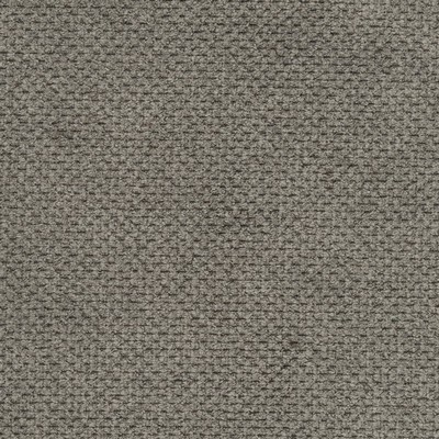 Charlotte Fabrics D3019 Steel