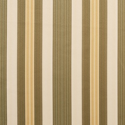 Charlotte Fabrics D303 Juniper Noble Stripe
