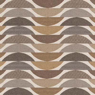 Charlotte Fabrics D3065 Driftwood