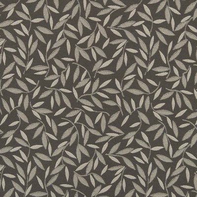 Charlotte Fabrics D3128 Slate