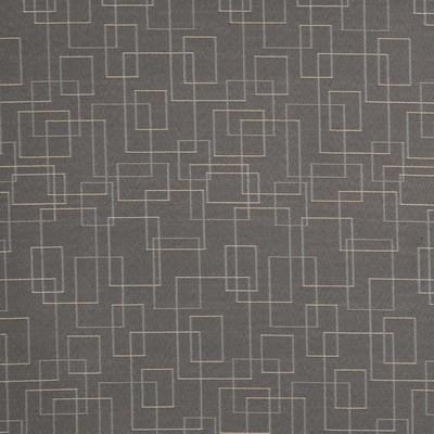 Charlotte Fabrics D3182 Pewter