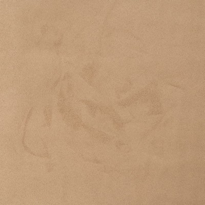 Charlotte Fabrics D3193 Oat