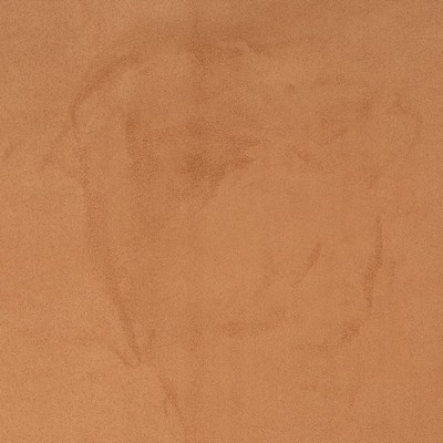 Charlotte Fabrics D3196 Penny