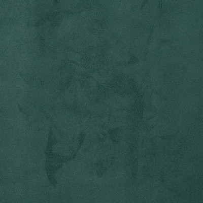 Charlotte Fabrics D3204 Hunter