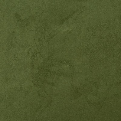 Charlotte Fabrics D3206 Pine