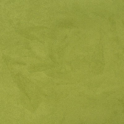 Charlotte Fabrics D3208 Pear