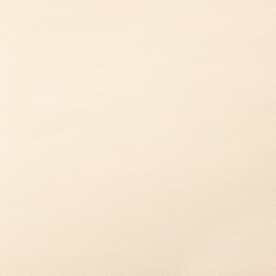 Charlotte Fabrics D3223 Ecru