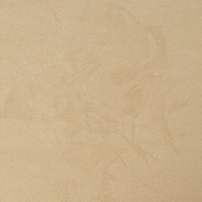 Charlotte Fabrics D3224 Wheat