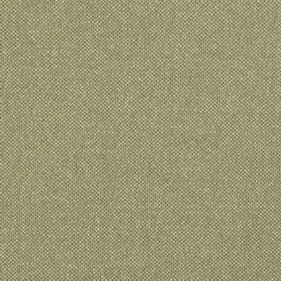 Charlotte Fabrics D3244 Juniper