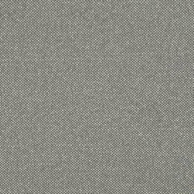 Charlotte Fabrics D3246 Pewter