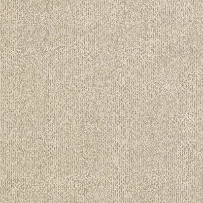 Charlotte Fabrics D3271 Marble Cobble