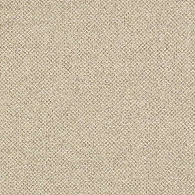 Charlotte Fabrics D3272 Beige Cobble