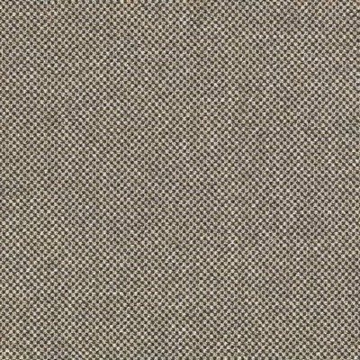 Charlotte Fabrics D3276 Midnight Cobble