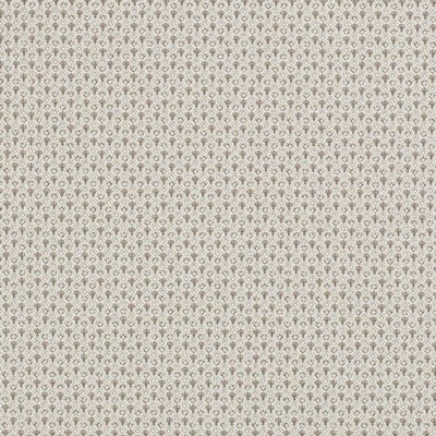 Charlotte Fabrics D3289 Marble Petite
