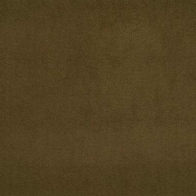 Charlotte Fabrics D328 Juniper