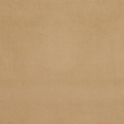 Charlotte Fabrics D329 Sand