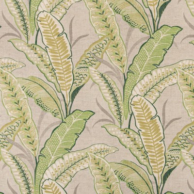 Charlotte Fabrics D3306 Leaf