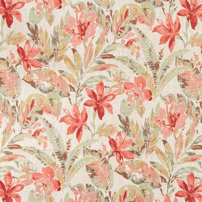 Charlotte Fabrics D3310 Punch