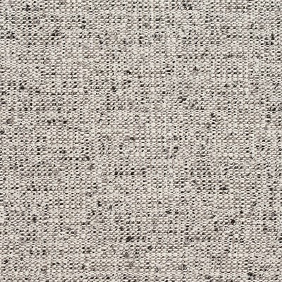 Charlotte Fabrics D333 Fog