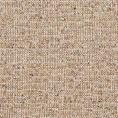 Charlotte Fabrics D335 Barley