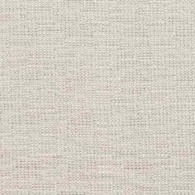 Charlotte Fabrics D336 Moonstone