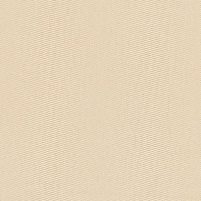 Charlotte Fabrics D3377 Driftwood