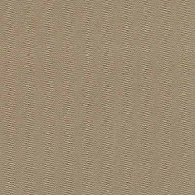 Charlotte Fabrics D3381 Clay