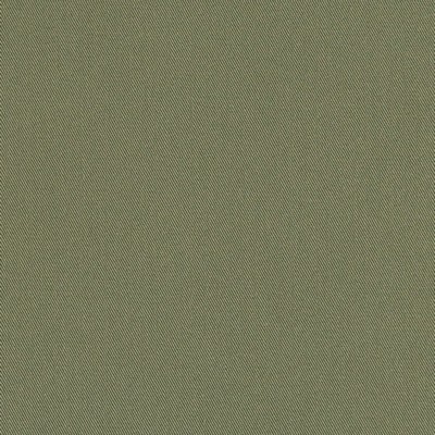 Charlotte Fabrics D3383 Army