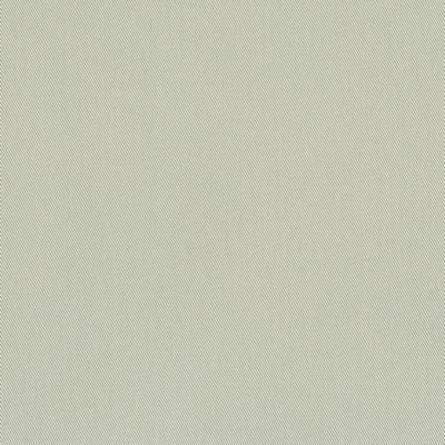 Charlotte Fabrics D3385 Mint