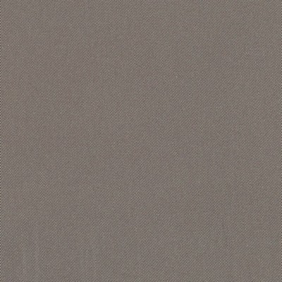 Charlotte Fabrics D3386 Pewter