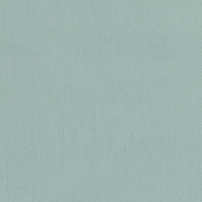 Charlotte Fabrics D3389 Turquoise