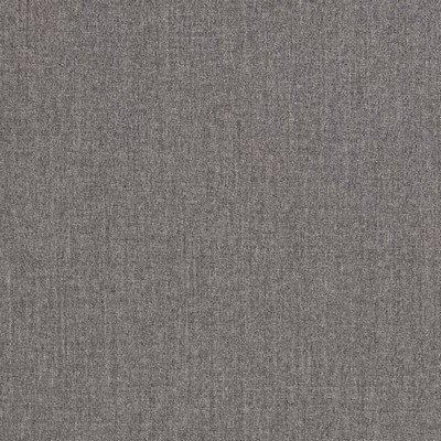 Charlotte Fabrics D3420 Charcoal