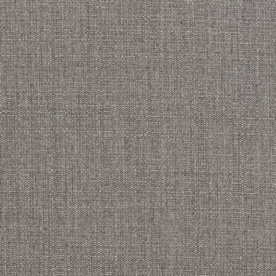 Charlotte Fabrics D3429 Stone