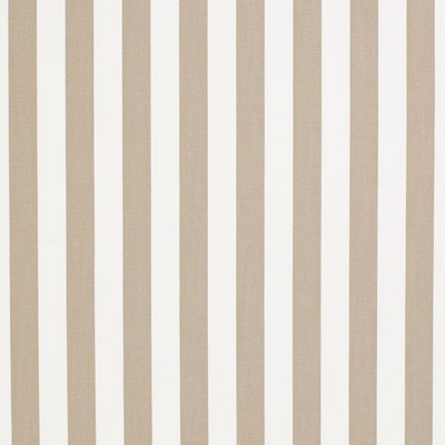 Charlotte Fabrics D3463 Tiki Sand