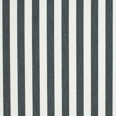 Charlotte Fabrics D3464 Tiki Black