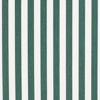 Charlotte Fabrics D3467 Tiki Forest