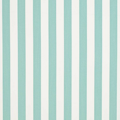 Charlotte Fabrics D3468 Tiki Glacier