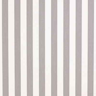 D3469 Tiki Seagull Charlotte Fabrics D3469 Tiki Seagull